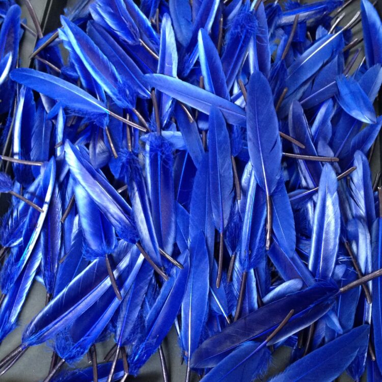 divine style french antiques paris plumassier divine style french antiques paris plumassier