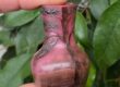 antique miniature cameo glass vase, art nouveau enamelled glass vase